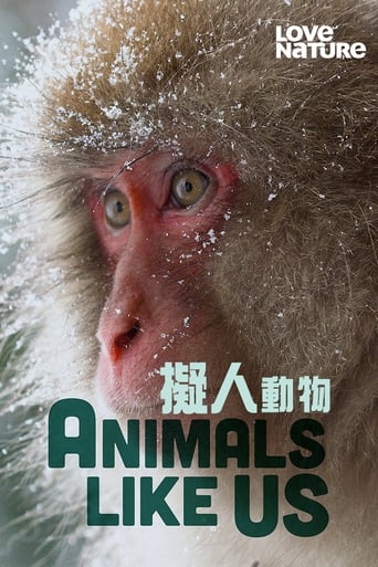 Portrait for Animals Like Us - Season 1