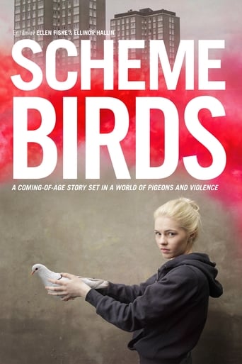 Poster of Scheme Birds