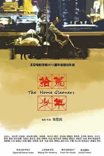 Poster of 拾荒少年