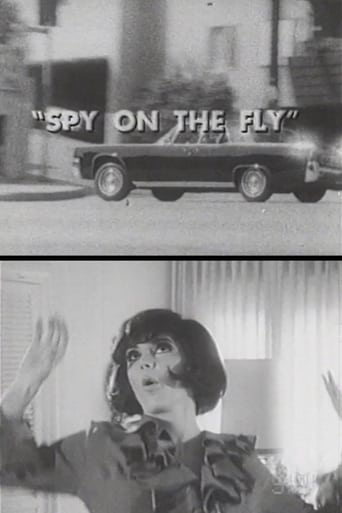 Poster of Spy on the Fly