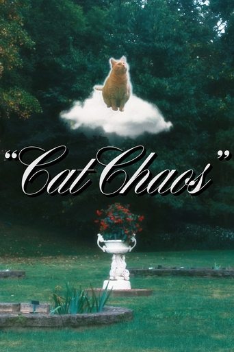 Poster of Cat Chaos