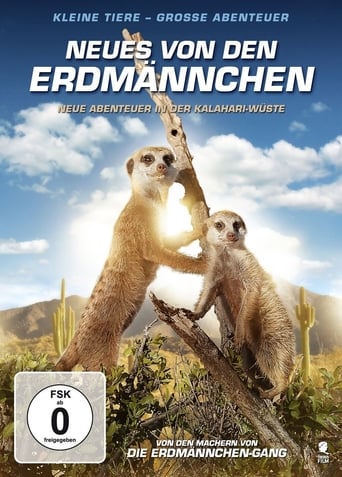 Poster of Kalahari Meerkats