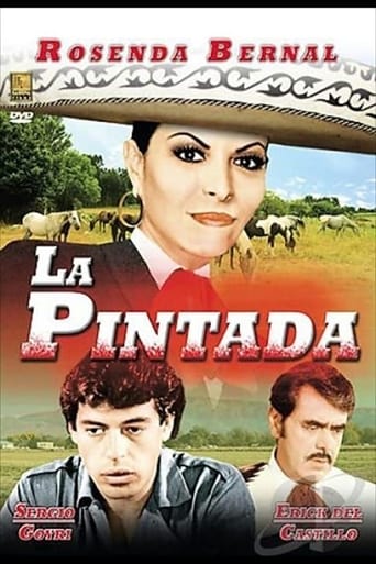 Poster of La pintada