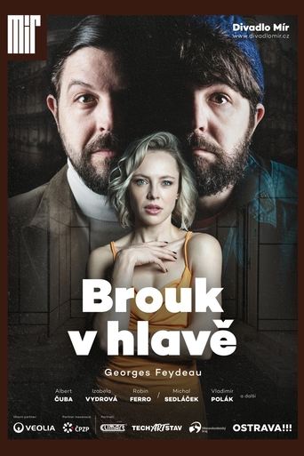 Poster of Brouk v hlavě