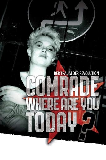 Poster of Comrade, Where Are You Today?