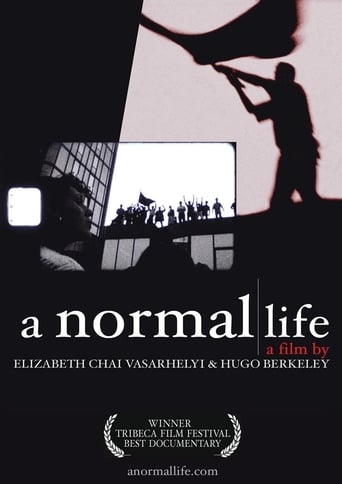 Poster of A Normal Life