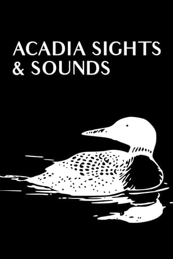 Poster of Acadia Sights & Sounds