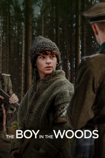 Poster of The Boy in the Woods