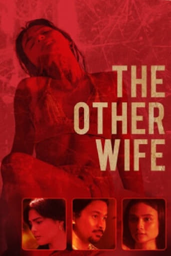 Poster of The Other Wife