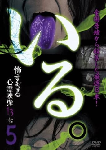 Poster of 「Iru.」~ Kowasugiru Tōkō Eizō 13-hon ~ Vol.5