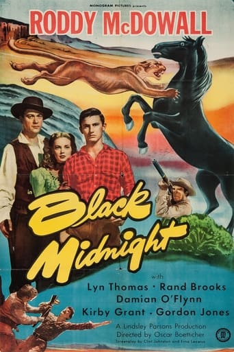 Poster of Black Midnight