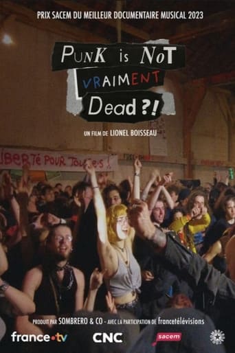 Poster of Punk is not vraiment dead ?!