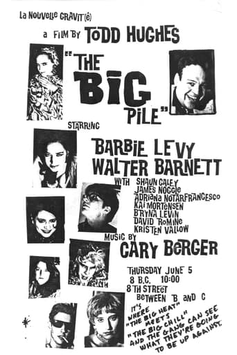 Poster of The Big Pile