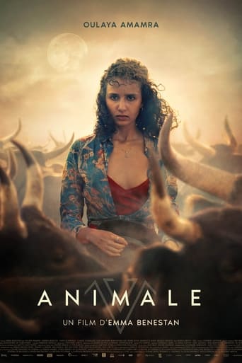 Poster of Animale