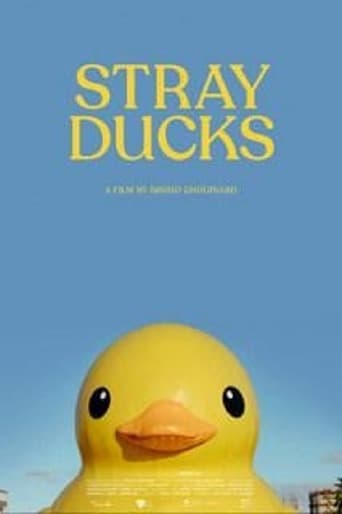 Poster of Stray Ducks