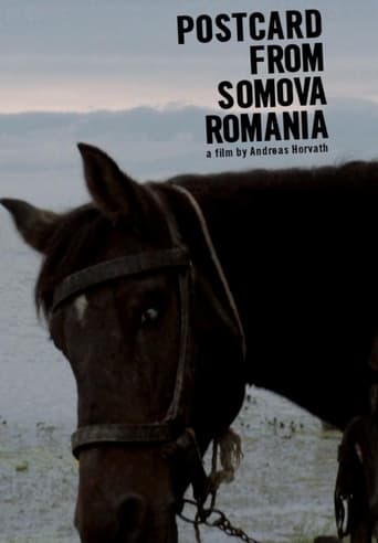 Poster of Postcard from Somova, Romania