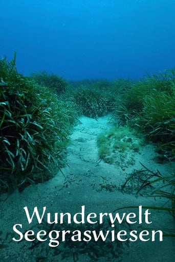 Poster of Wunderwelt Seegraswiesen Klimaretter, Kinderstube, Küstenschutz