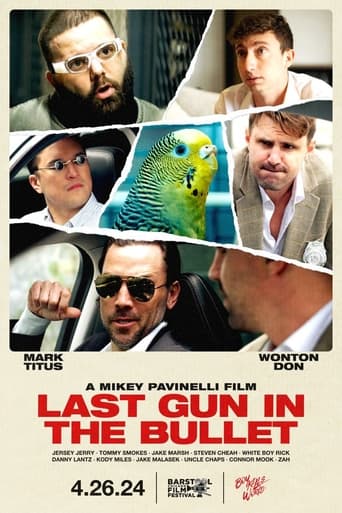 Poster of Last Gun In The Bullet