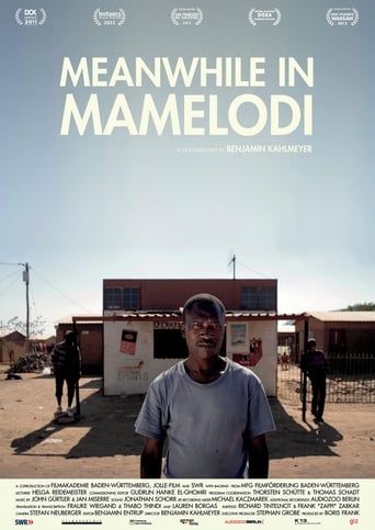 Poster of Meanwhile in Mamelodi