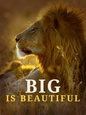 Poster of Big is Beautiful