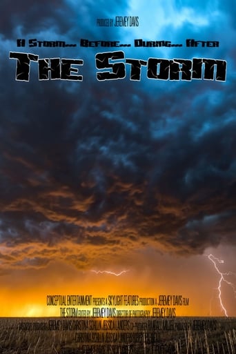 Poster of The Storm