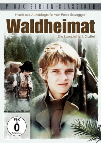 Portrait for Waldheimat - Season 1