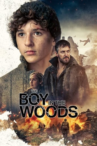 Poster of The Boy in the Woods