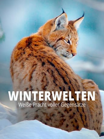 Poster of Terra X - Wilde Winterwelten