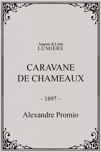 Poster of Caravane de chameaux