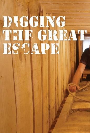 Poster of Digging The Great Escape