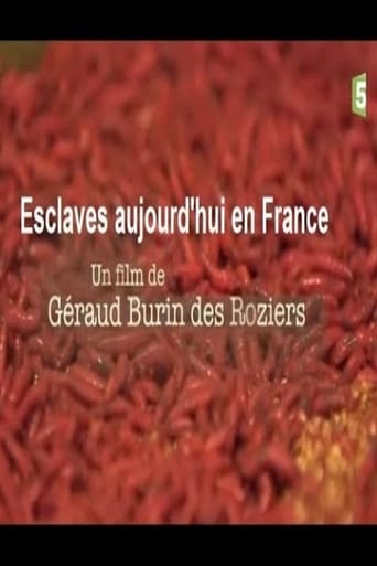 Poster of Esclaves aujourd'hui en France