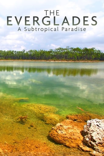 Poster of National Parks Exploration Series: The Everglades