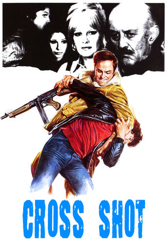 Poster of Cross Shot