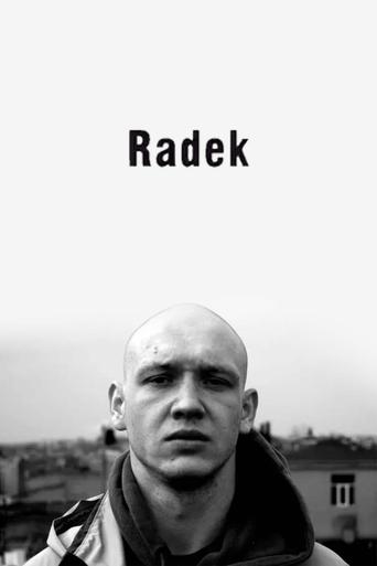 Poster of Radek