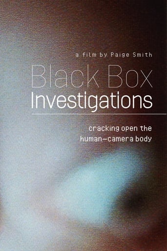 Poster of Black Box Investigations