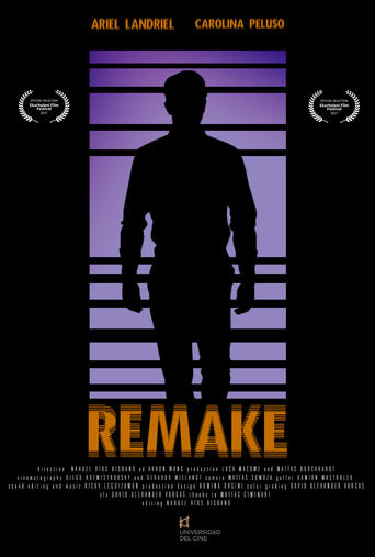 Poster of Remake