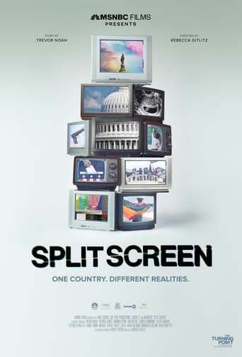 Poster of Split Screen