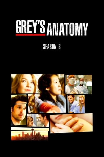 Portrait for Grey's Anatomy - Season 3