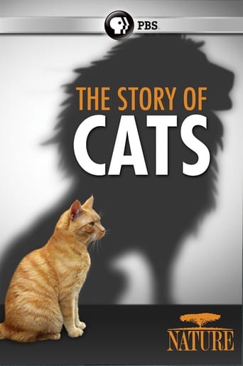 Poster of The Story of Cats