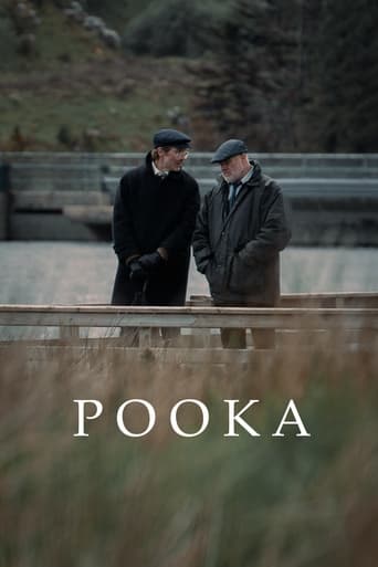 Poster of Pooka