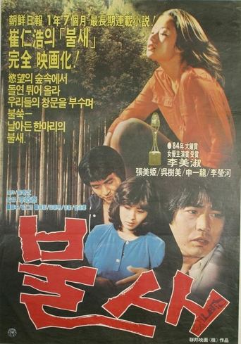 Poster of The Bird of Fire