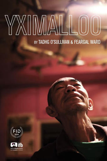 Poster of Yximalloo