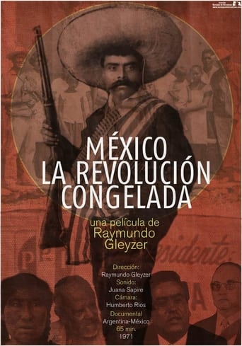 Poster of Mexico: The Frozen Revolution