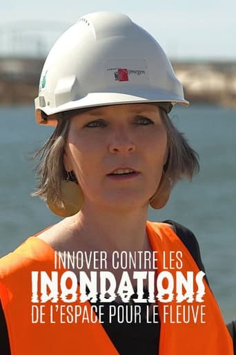 Poster of De l’espace pour le fleuve - Innover contre les inondations