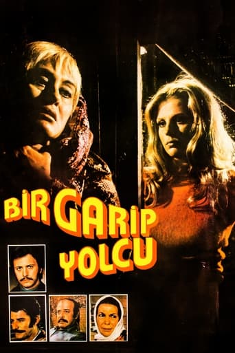 Poster of Bir Garip Yolcu