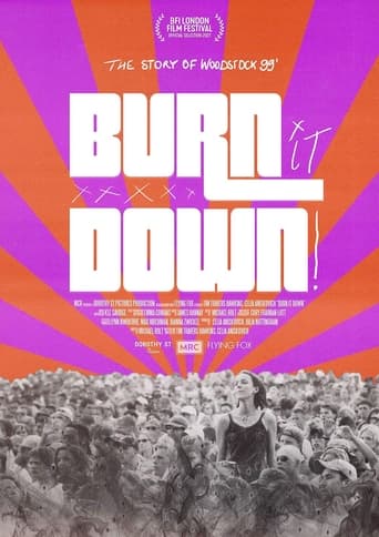 Poster of BURN IT DOWN!