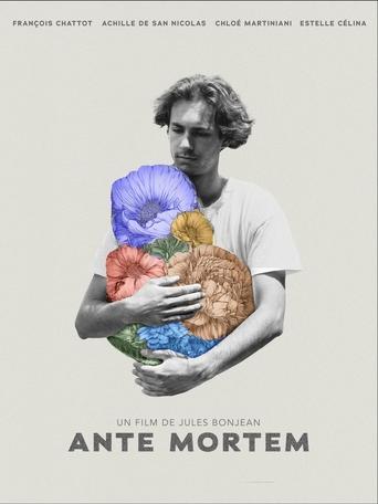 Poster of Ante Mortem