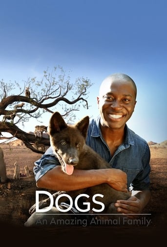 Portrait for Dogs: An Amazing Animal Family - Season 1