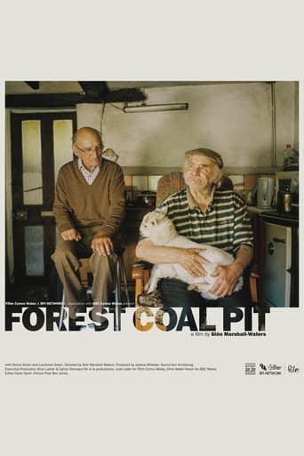 Poster of Forest Coal Pit