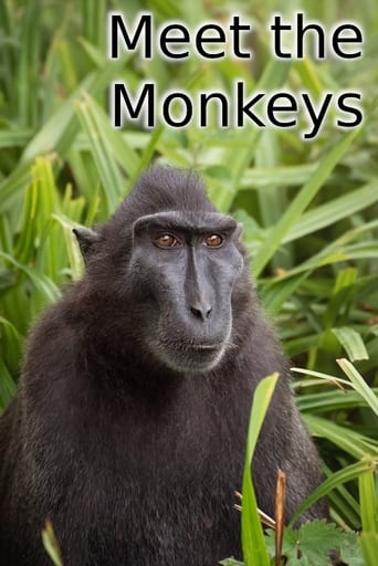 Poster of Meet the Monkeys